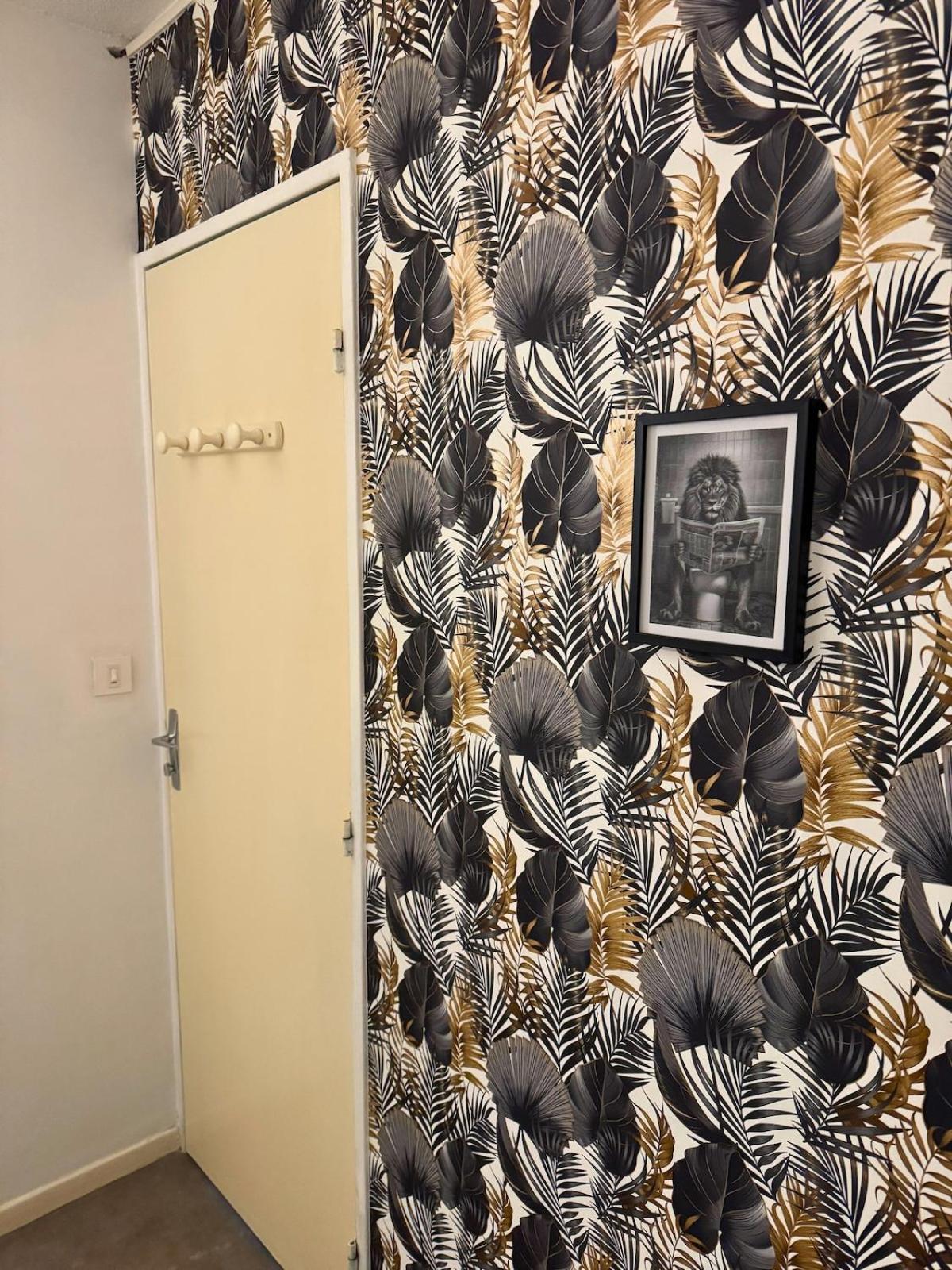 Apartament Majestic - Wifi - Parking - Vue Dax Zewnętrze zdjęcie
